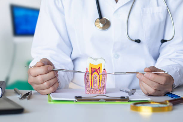 Best Emergency Pediatric Dental Care in Hagerstown, IN